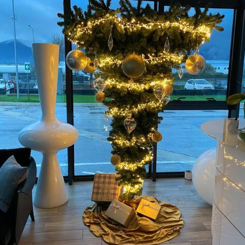 albero natale sogo